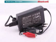 seald Lead Acid battery charger 12 v 3/0 Ah